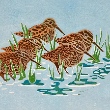 A linocut based on a photo taken of wintering snipe at Venus Pool in Shropshire