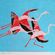 Flamingos, Odiel Marshes