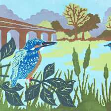 Two kingfishers on the large pool at Cpalbrookdale in Shropshire. This will shortly be available as a card and a coaster.